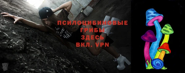 меф Гусев