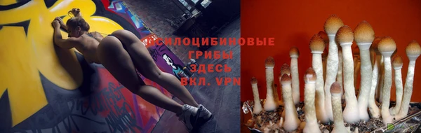 меф Гусев