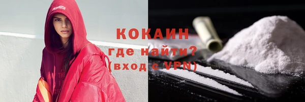 дживик Гусь-Хрустальный