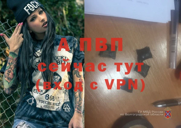 дживик Гусь-Хрустальный
