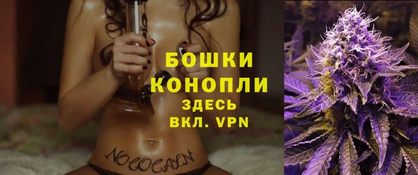дживик Гусь-Хрустальный