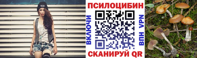 Псилоцибиновые грибы Magic Shrooms Купить закладки Навашино